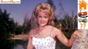 Connie Stevens net worth