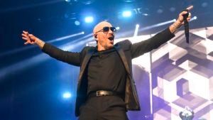 pitbull