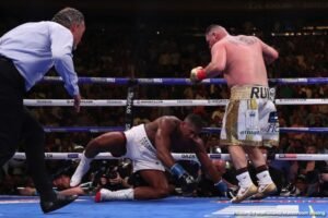 Andy Ruiz Jr. Professional Boxing Purses (Anthony Joshua II)
