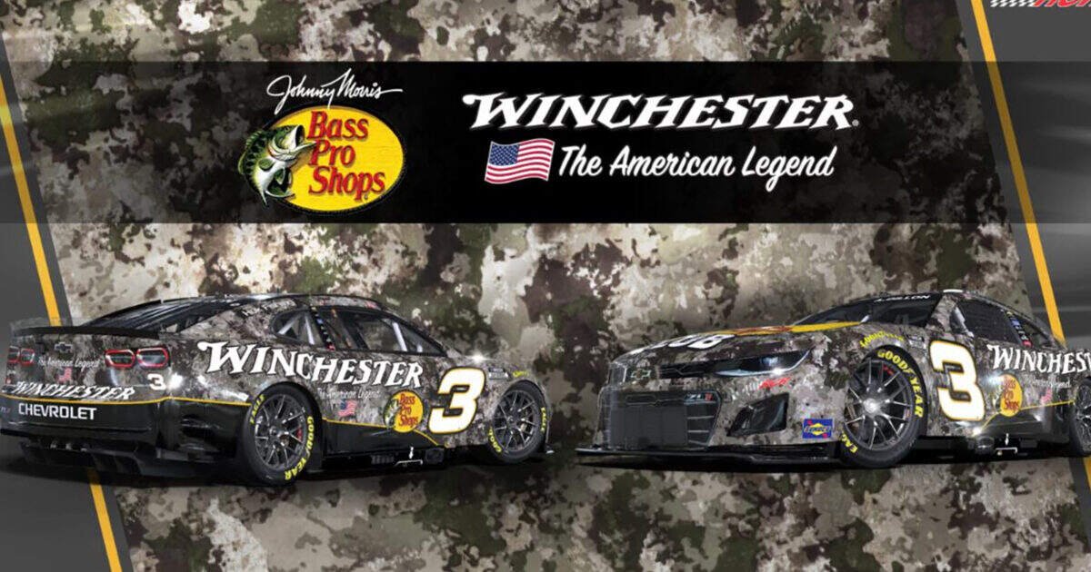 Austin Dillon Sponsorships & Endorsements