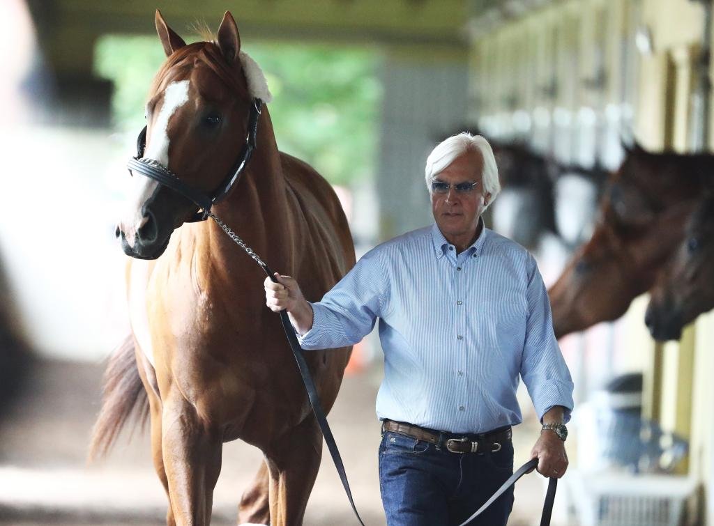 Bob Baffert Thoroughbred Horse Training (Winnings Percentage)