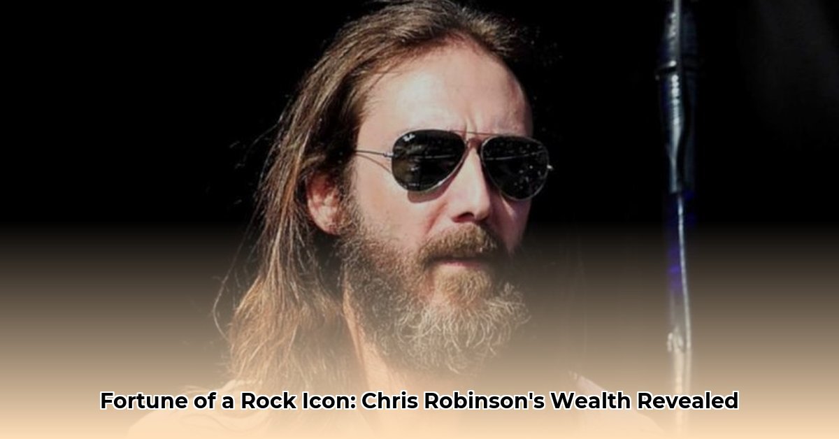 Chris Robinson net worth and career earnings