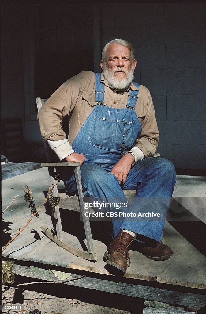 Denver Pyle Television Acting (The Dukes of Hazzard)