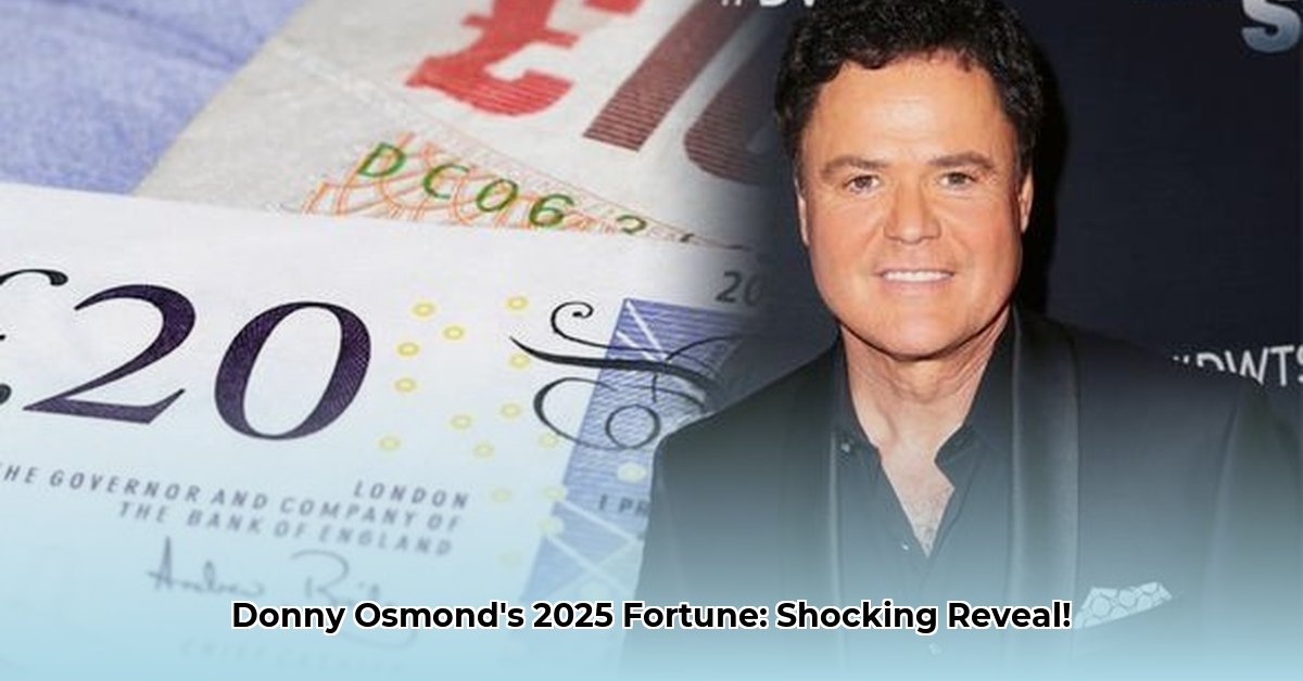 Donny Osmond net worth and career earnings