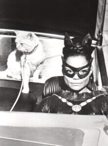 Eartha Kitt Television Acting (e.g., Batman)