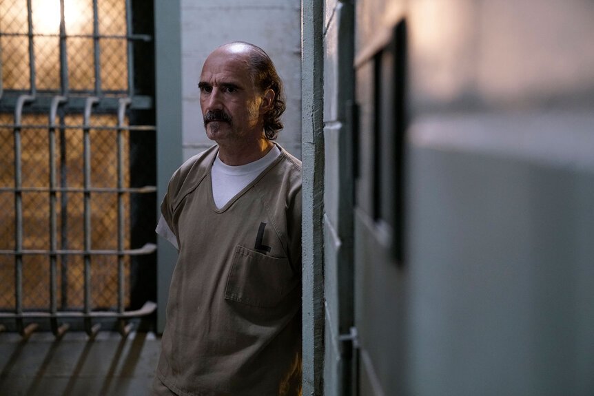 Elias Koteas Television Acting (Chicago P.D.)
