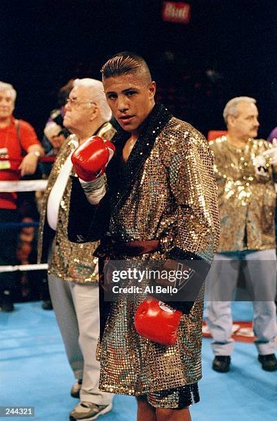 Fernando Vargas Professional Boxing Fights